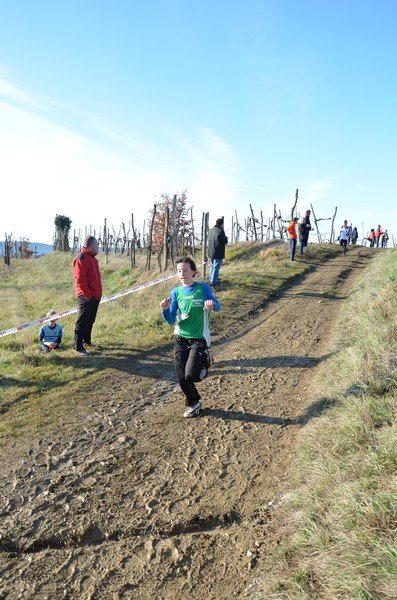 Tek Biljanski gri 269 i 093
